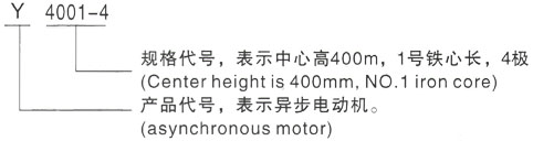 西安泰富西玛Y系列(H355-1000)高压Y5603-6/1400KW三相异步电机型号说明